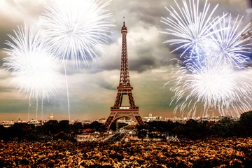 Wandcirkels tuinposter celebrating the New Year in Paris Eiffel tower with fireworks © Melinda Nagy
