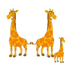 On a white, transparent background, three giraffes, two dads and one child. Giraffes are gay, unconventional families, raising children in unconventional families. Wildlife.