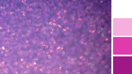 Obraz na płótnie Canvas Fresh fig background colour palette with complimentary swatches.