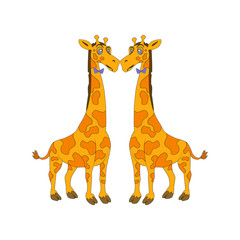 Picture of two fat kissing. Male giraffes, unconventional orientation. Picture for the project, picture for the illustration.