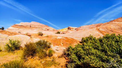 The colorful red, yellow and white banded rock formations along the Fire Wave Trail in the Valley of Fire State Park in Nevada, USA