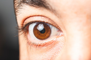 Fototapeta premium Macro image of human brown eye - close up view of man brown eye