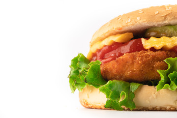 studio shoot delicious  chicken burger