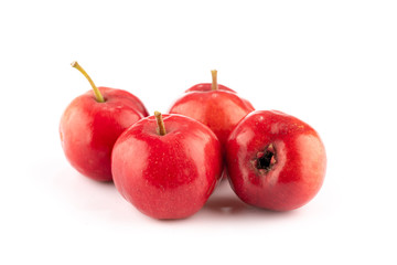 ripe red hawthorn on white background