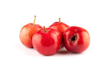 ripe red hawthorn on white background