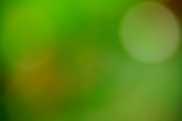 abstract blur green color for background,blurred and defocused effect spring concept for design