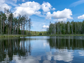 Fototapeta premium beautiful lake view, beautiful sky, Calm lake reflection against the blue sky with white clouds, Valdis lake, Turna, Latvia