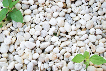 White pebbles texture or background. White gravel background.