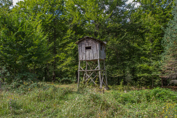 Hidden observation tower in the forest photo