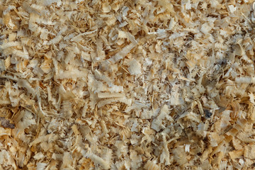 Wood Sawdust textured. monochrome design beige