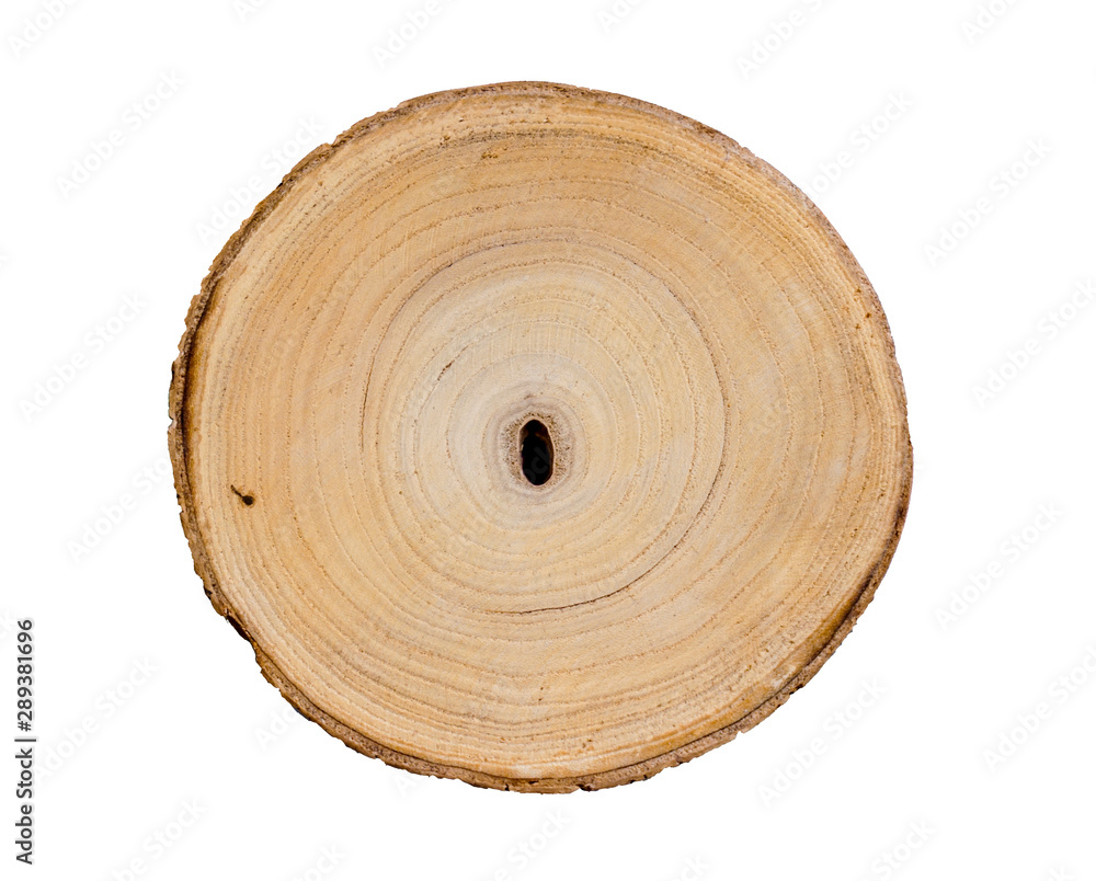 Canvas Prints wood slice cut from a tree. textured surface with rings and cracks. neutral brown background made of