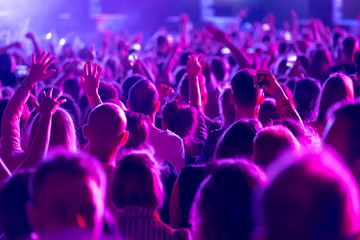Crowd of fans cheering at open-air music festival