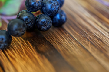 Free space for a signature or logo next to chokeberry berries lying on natural pine boards. The counter of the farm fair. New crop. Close-up