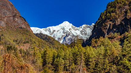 Obraz premium Snow covered mountain peaks and green forest in foreground in Himalayas, Nepal.