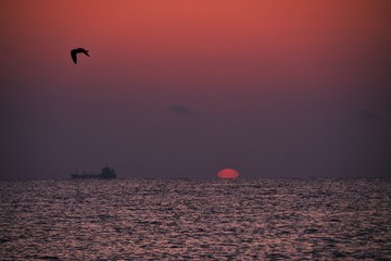 a sunrise at the seashore in blue-red hues