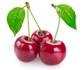 Fresh cherry on white background