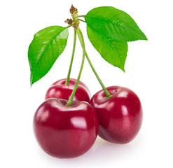 Fresh cherry on white background