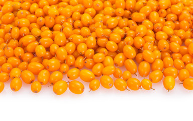 Sea buckthorn berries on white background