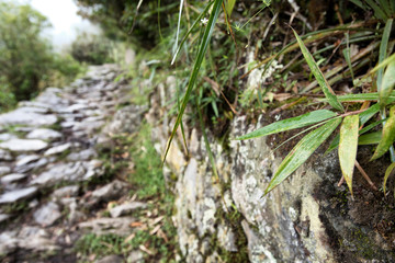 Machu Picchu, lost city of the Incas, designated Peruvian Historical Sanctuary in 1981 and UNESCO...