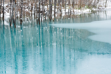 氷が張った初冬の青い池　美瑛町