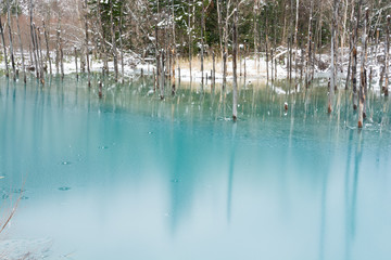 氷が張った初冬の青い池　美瑛町