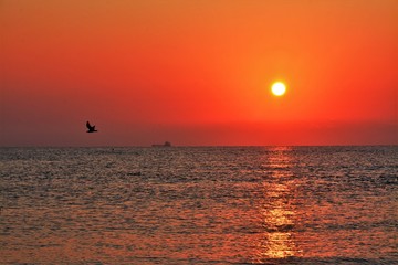 a sunrise at sea in red colors