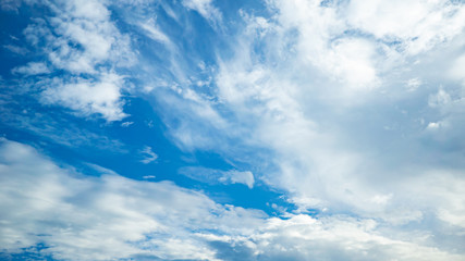 Fototapeta premium 青空・雲