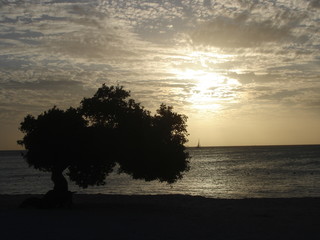 Obraz na płótnie Canvas Beira da praia de aruba com barco e árvore