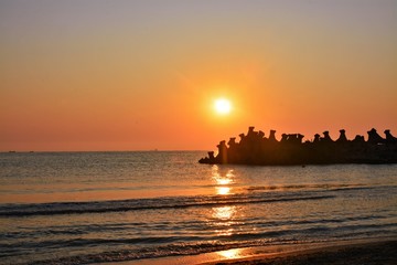 Fototapeta premium a sunrise at the seashore