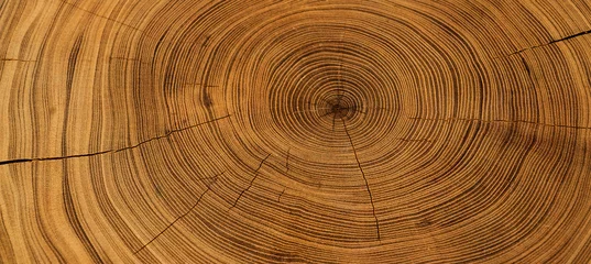 Tuinposter Oude houten eikenboom snijvlak. Gedetailleerde warme donkerbruine en oranje tinten van een gekapte boomstam of stronk. Ruwe organische textuur van boomringen met close-up van eindkorrel. © CaptureAndCompose