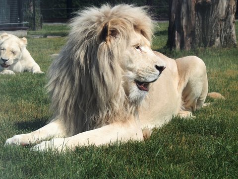 Fototapeta OLYMPUS DIGITAL CAMERA