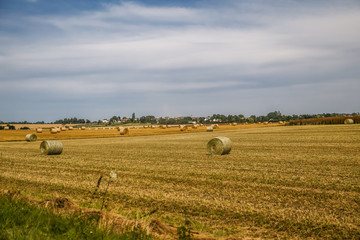 Hay rolls in a field in the Normandy region of France
