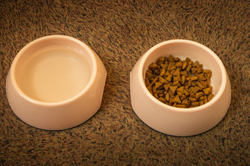Cat food and water in pink cups to take care of the health of your domestic cat, picture taken in the Netherlands 