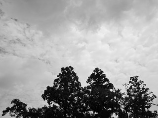 黒雲