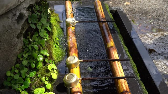 Temizuya cleansing ritual at japanese temple
