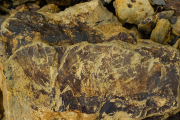 close up rock stone texture background