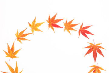 Half wreath made from Japanese maple leaves. Hello autumn concept.