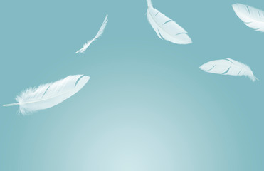 abstract, soft white feathers floating in the air.