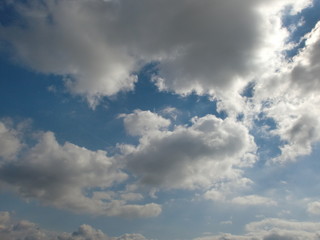 雲