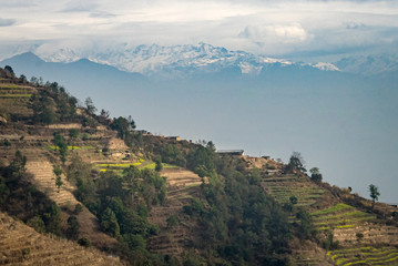 Himalayan landscape with terraced fields and mountains