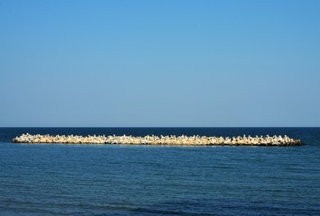 Obraz premium dam from tetrapos of concrete to the sea