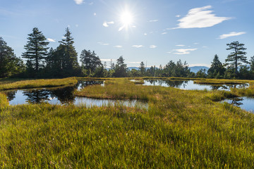 夏の燧ケ岳登山