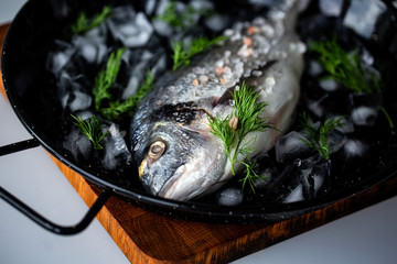 Fresh dorado with ice on the black dish