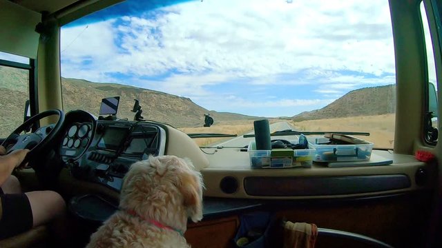 POV of the passenger in a large class A Recreational Vehicle while driving through the Okanogan Highlands of north central Washington State with a labradoodle dog in the foreground