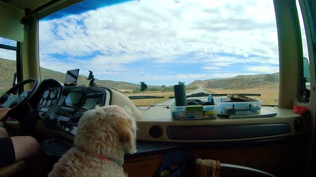 POV of the passenger in a large class A Recreational Vehicle while driving through the Okanogan Highlands of north central Washington State with a labradoodle dog in the foreground