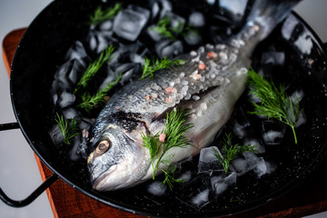 Fresh dorado with ice on the black dish