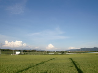 田舎の風景
