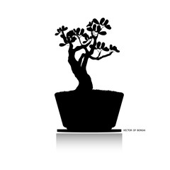 Bonsai tree, Black silhouette of bonsai. Detailed image. Vector illustration. Decorative arts. Mini tree in pot. Dwarf tree decoration art.  