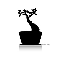 Bonsai tree, Black silhouette of bonsai. Detailed image. Vector illustration. Decorative arts. Mini tree in pot. Dwarf tree decoration art.  