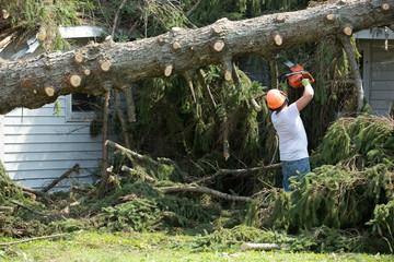 Lumberjack cutting tree. man cutting trees using an electrical chainsaw.  Lumberjack. cutting tree. electrical chainsaw. Home insurance. insurance storm.Storm damage.Roof damage. tree down.